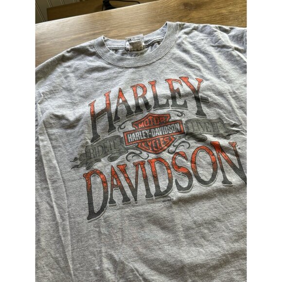 Harley Davidson Dublin Ireland T-Shirt Size Large Gray 2015 Beefy T Cotton Blend - Picture 6 of 10